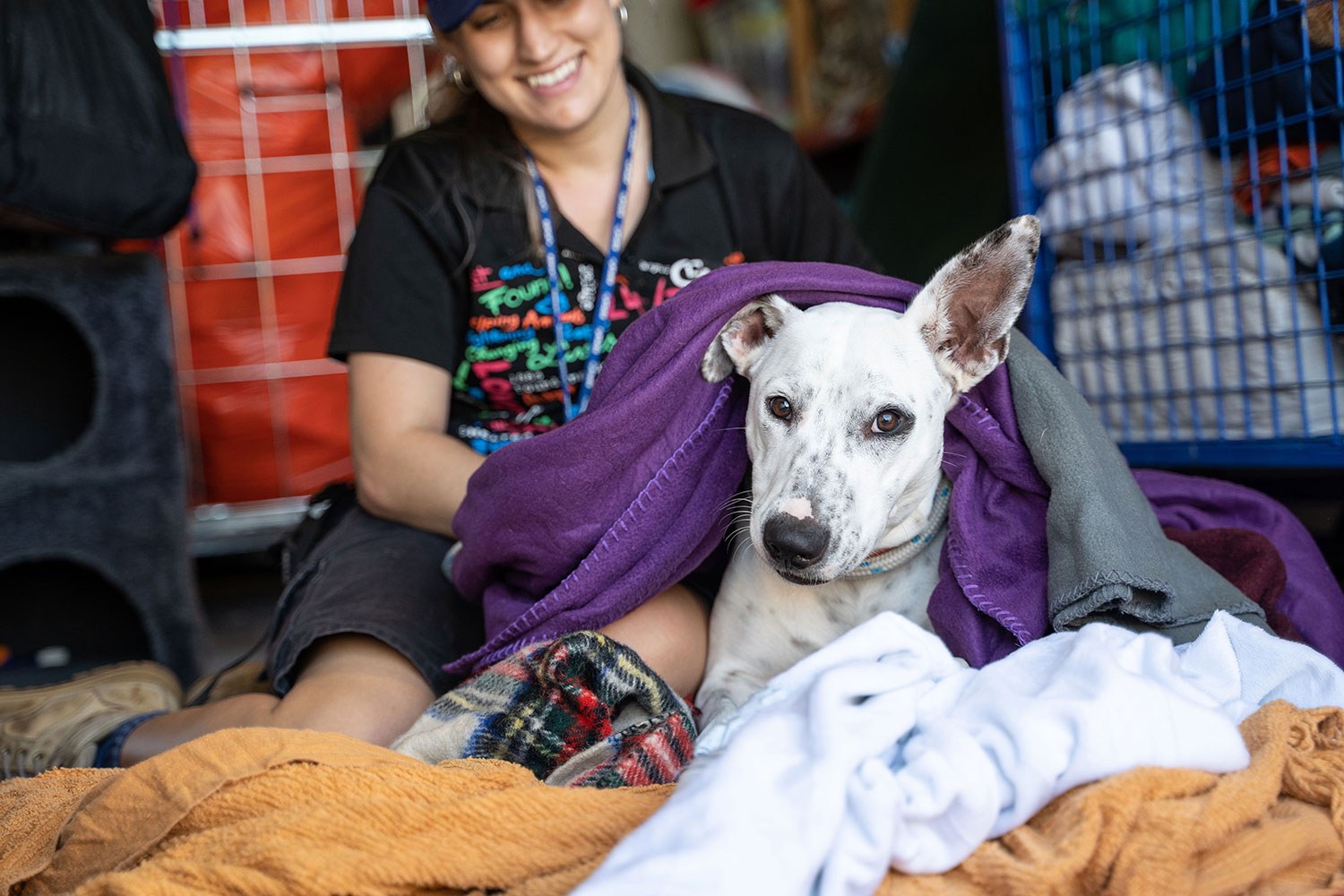 Dakabin centre needs blankets and dog coats