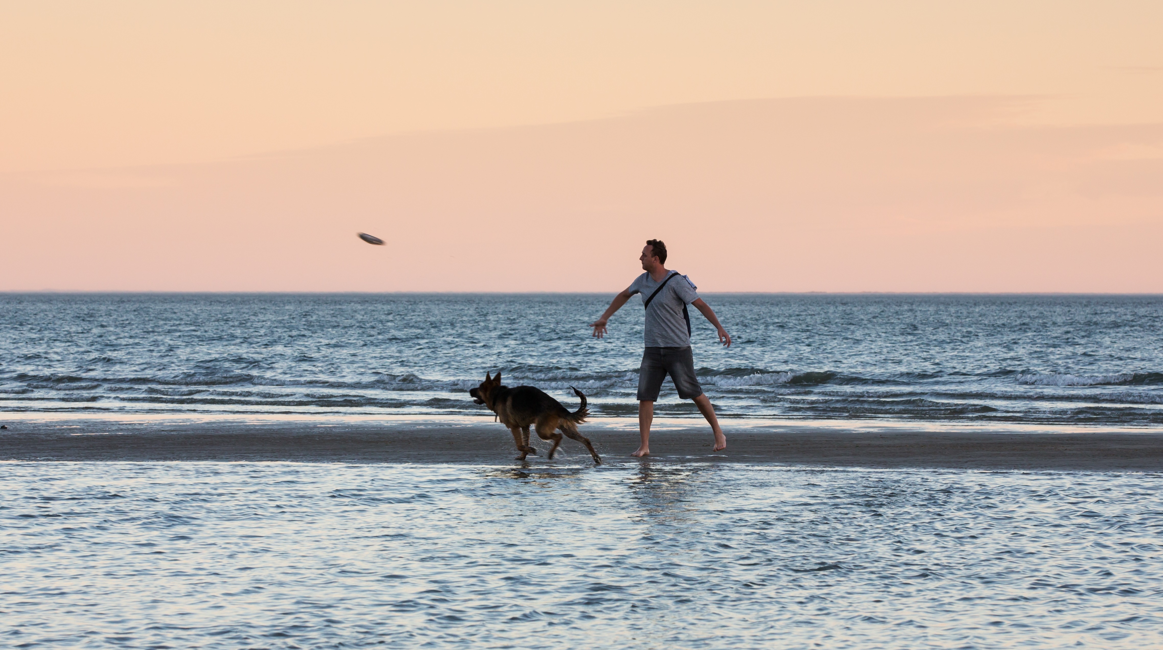 Queens Beach Dog OffLeash Trial likely to end