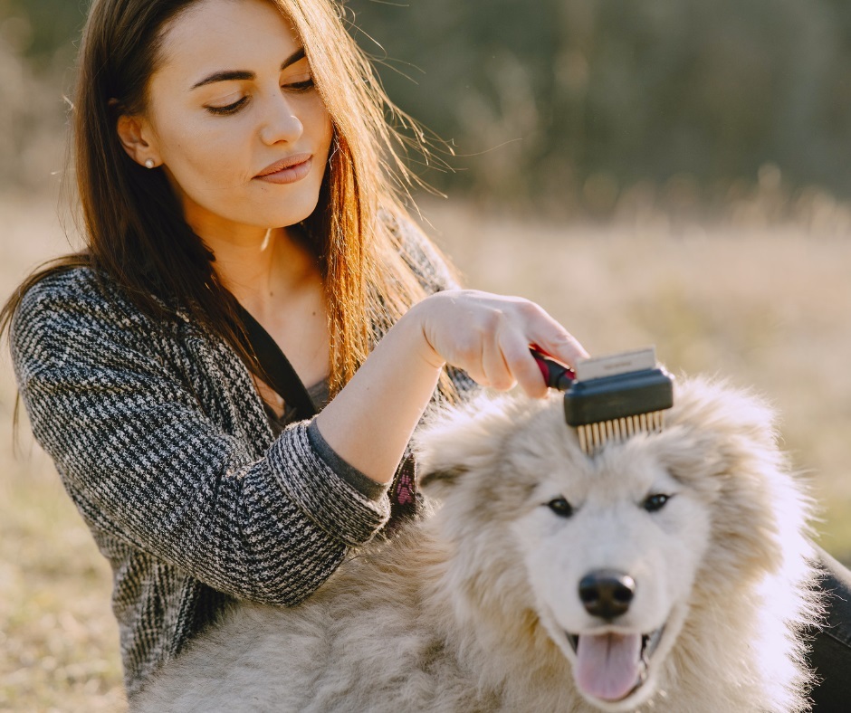Pet Grooming Tips