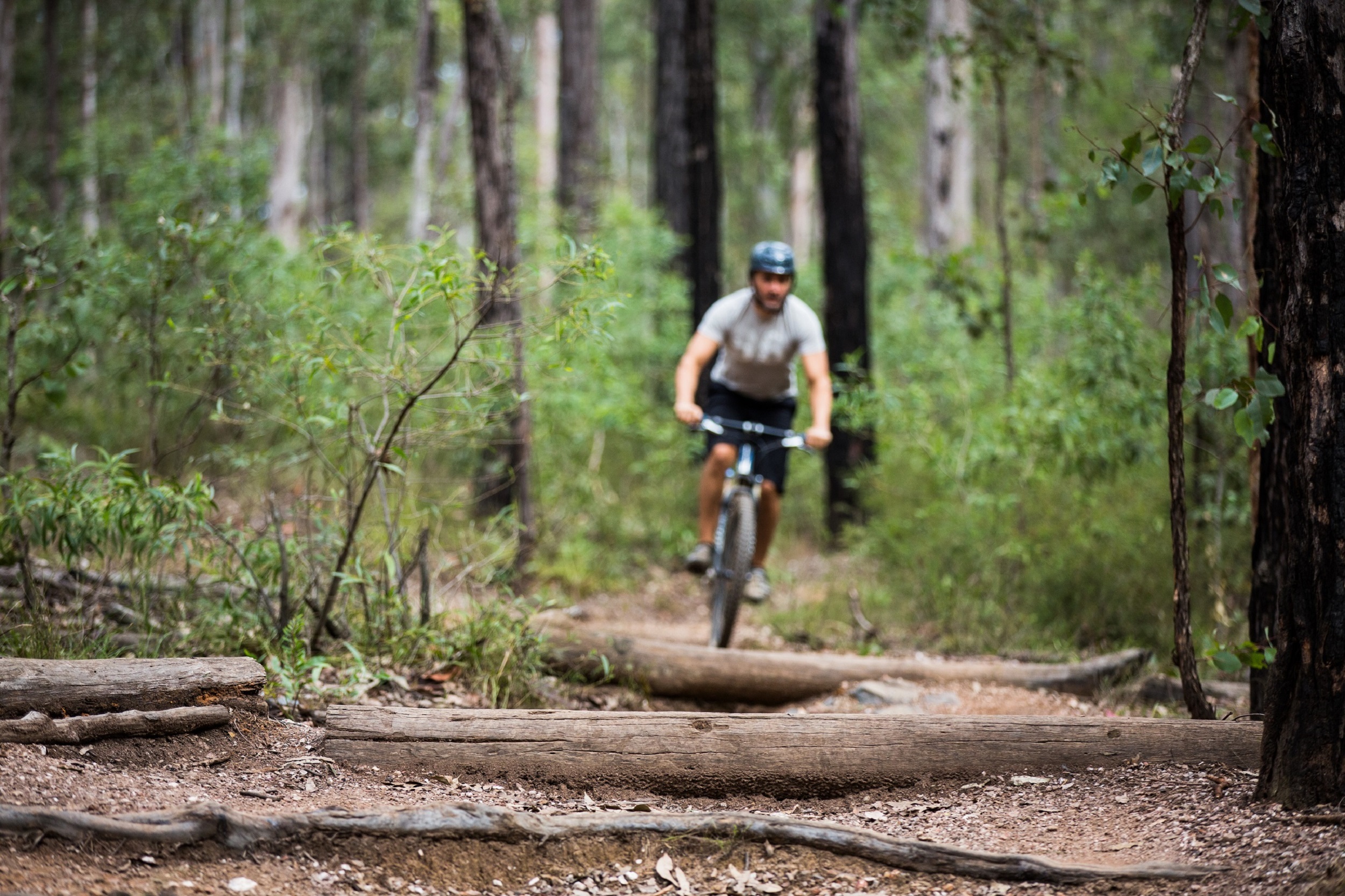 Bunyaville mountain deals bike trails