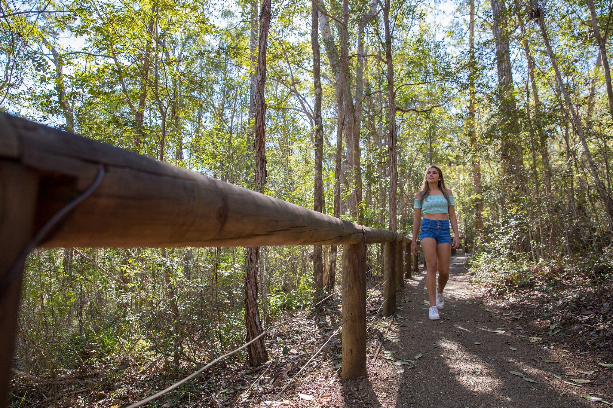 D'Aguilar National Park Moreton Bay Region Hinterland